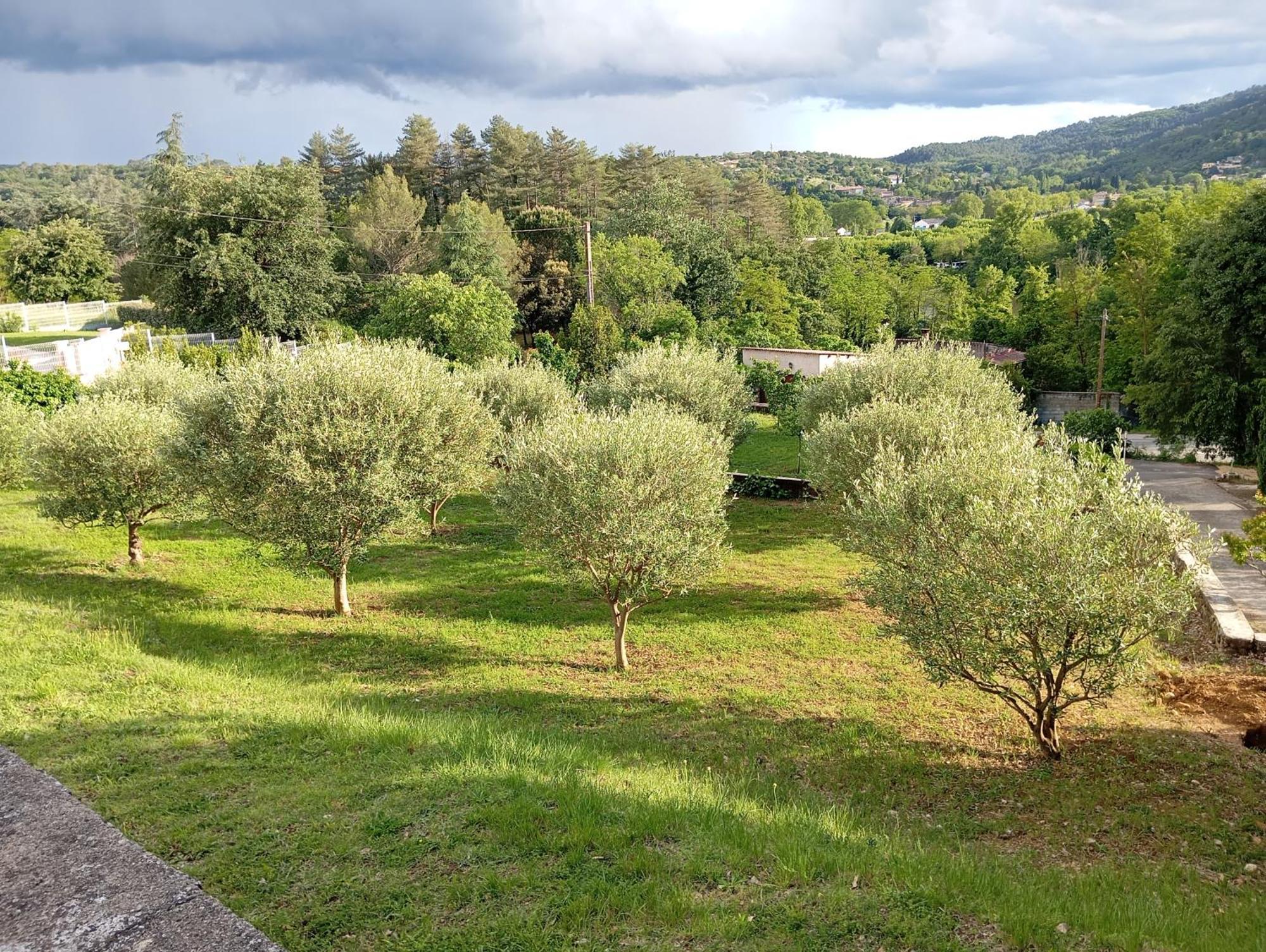 Le Moulin Villa Vallon-Pont-dʼArc Eksteriør bilde
