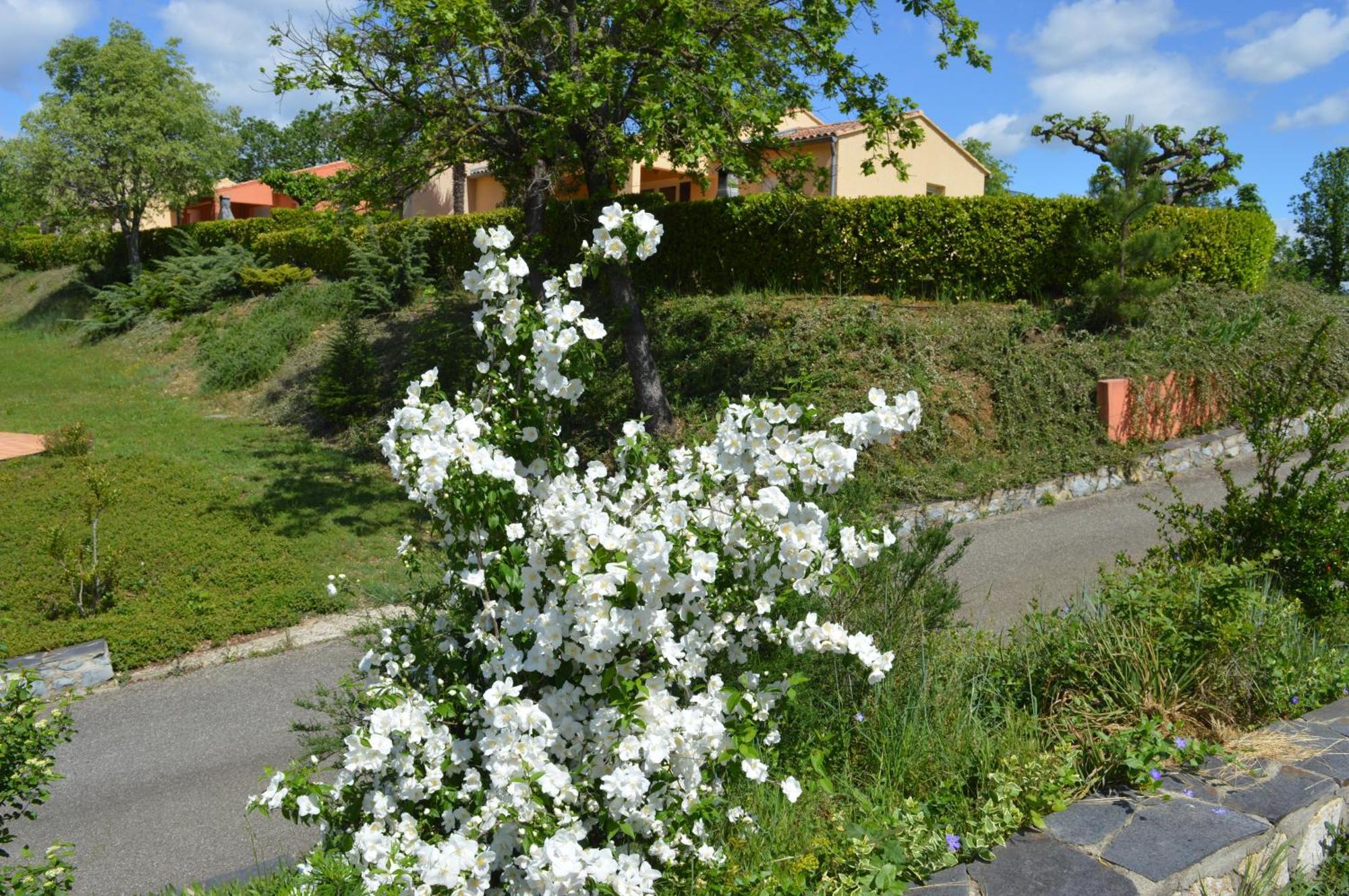 Le Moulin Villa Vallon-Pont-dʼArc Eksteriør bilde
