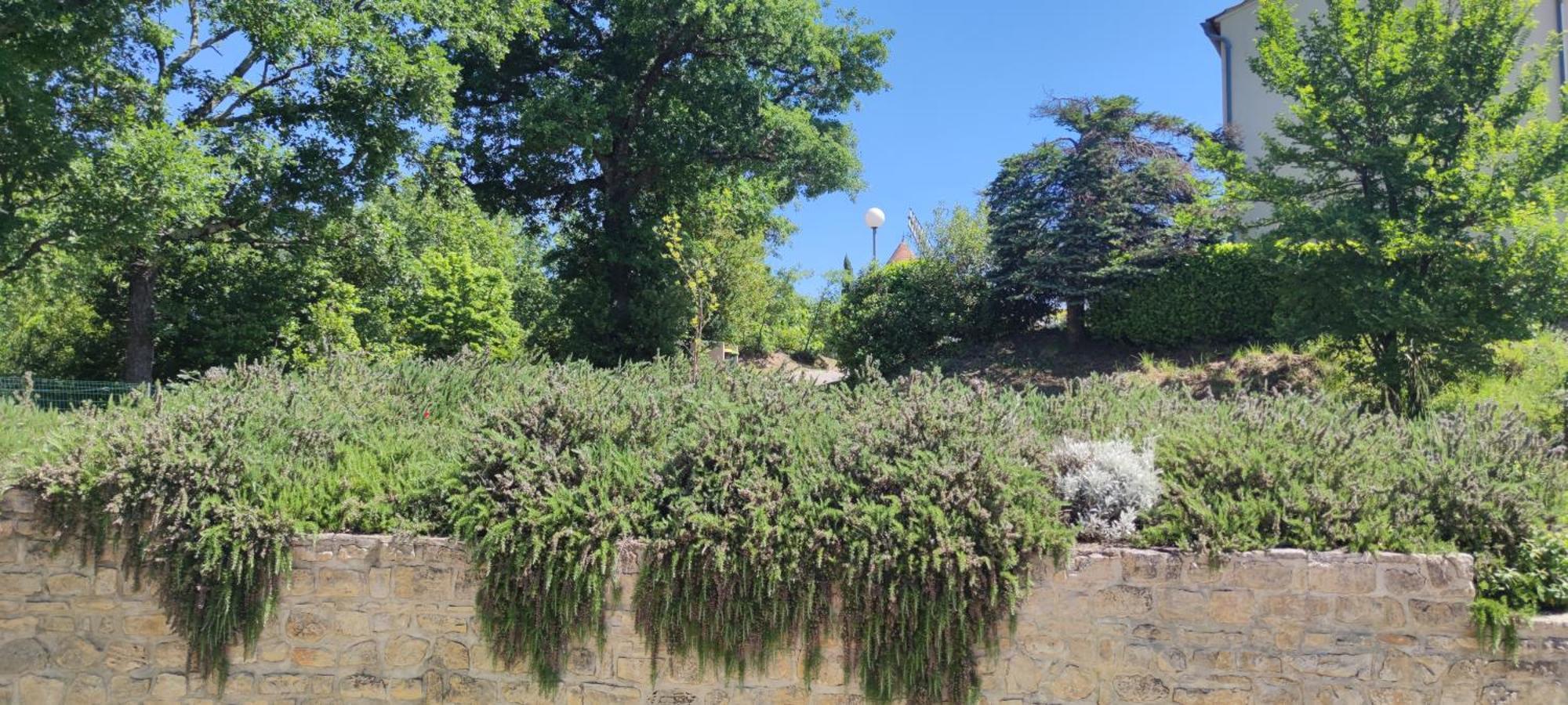 Le Moulin Villa Vallon-Pont-dʼArc Eksteriør bilde